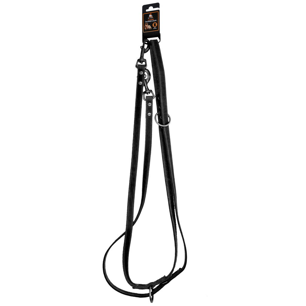 Spotted! Pro Leather Training Leash 1.6 x