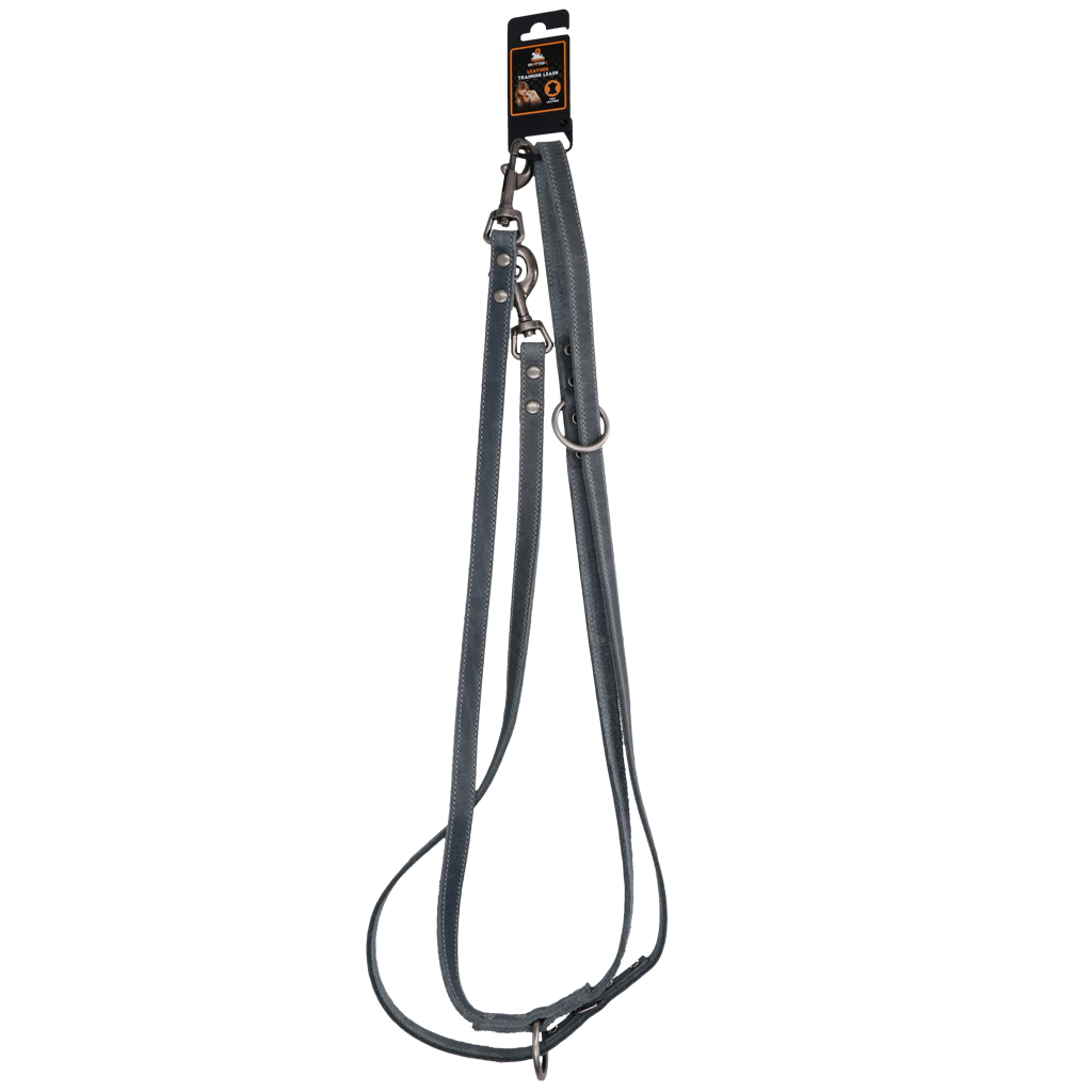 Spotted! Pro Leather Training Leash 1.6 x