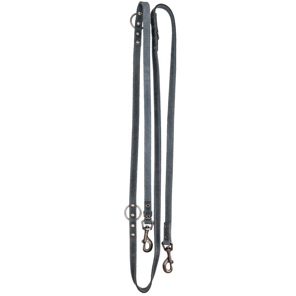 Spotted! Pro Leather Training Leash 2 x