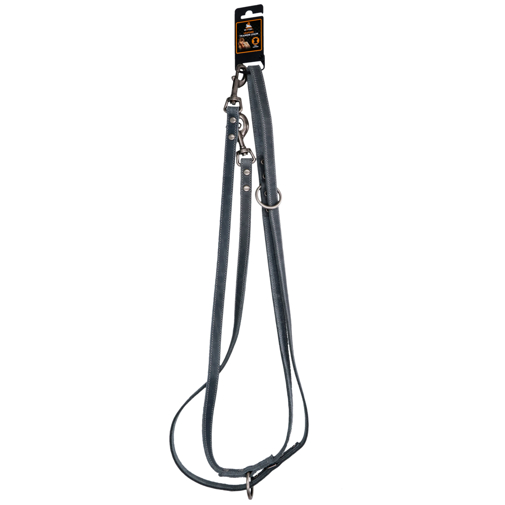 Spotted! Pro Leather Training Leash 2 x