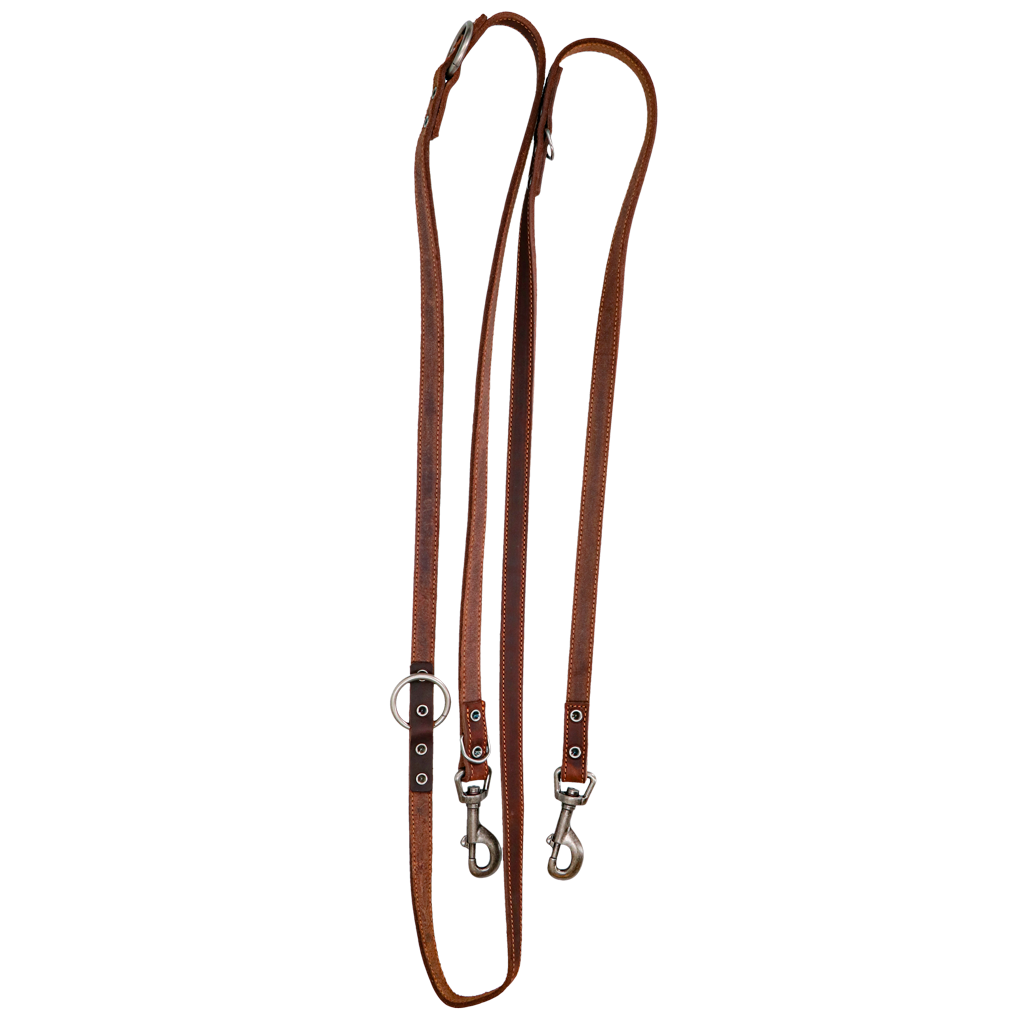 Spotted! Pro Leather Training Leash 2 x