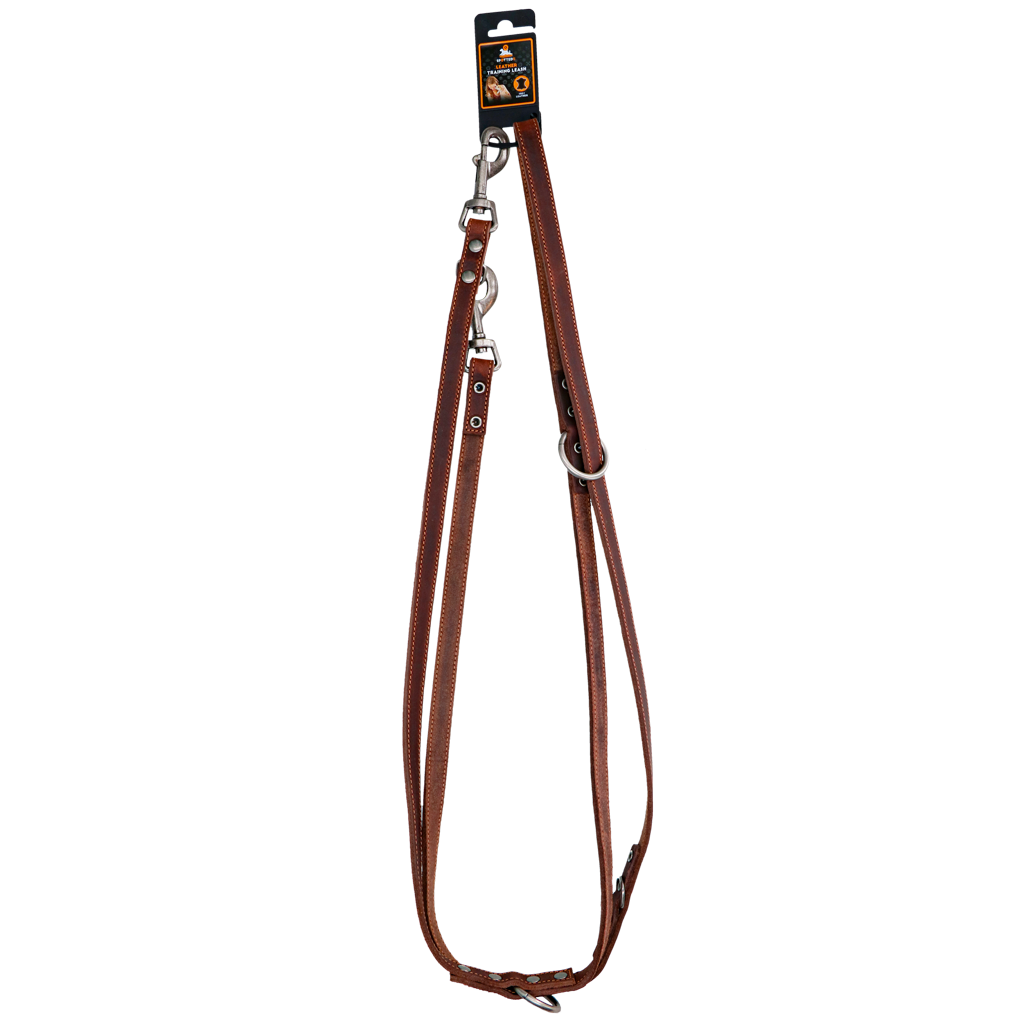 Spotted! Pro Leather Training Leash 2 x