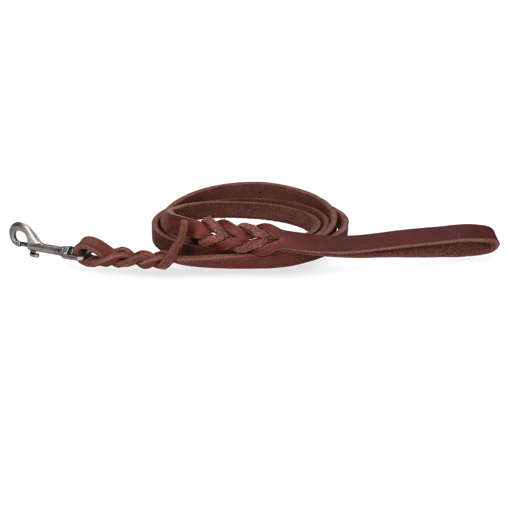 Spotted! Pro Leather Show Leash 1.2 x (Bolt Snap)