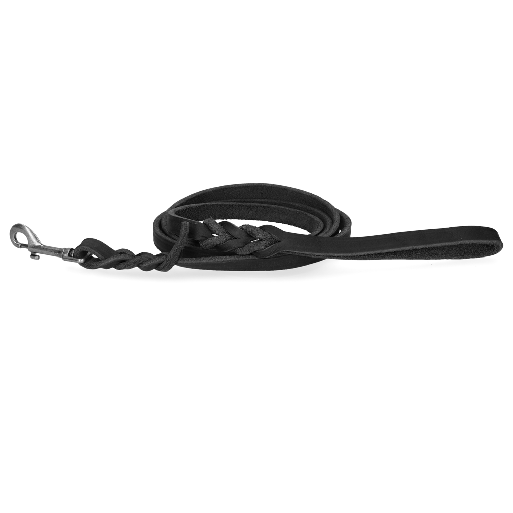 Spotted! Pro Leather Show Leash Black 1.6 x 180 cm (Bolt Snap)