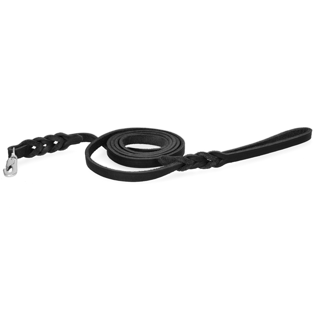 Spotted! Pro Leather Show Leash 1 x (Clip Hook)