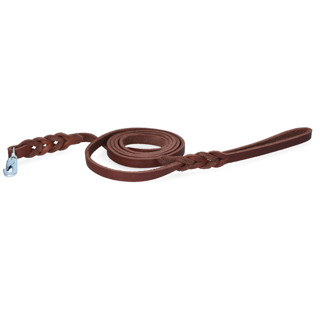 Spotted! Pro Leather Show Leash 1 x (Clip Hook)