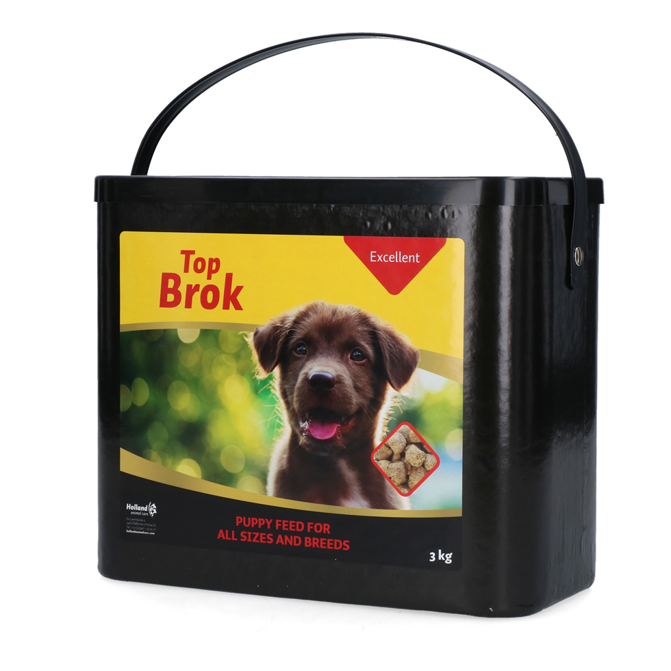 Excellent Topbrok Excellent Puppy