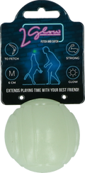 2 Glow Fetch & Play