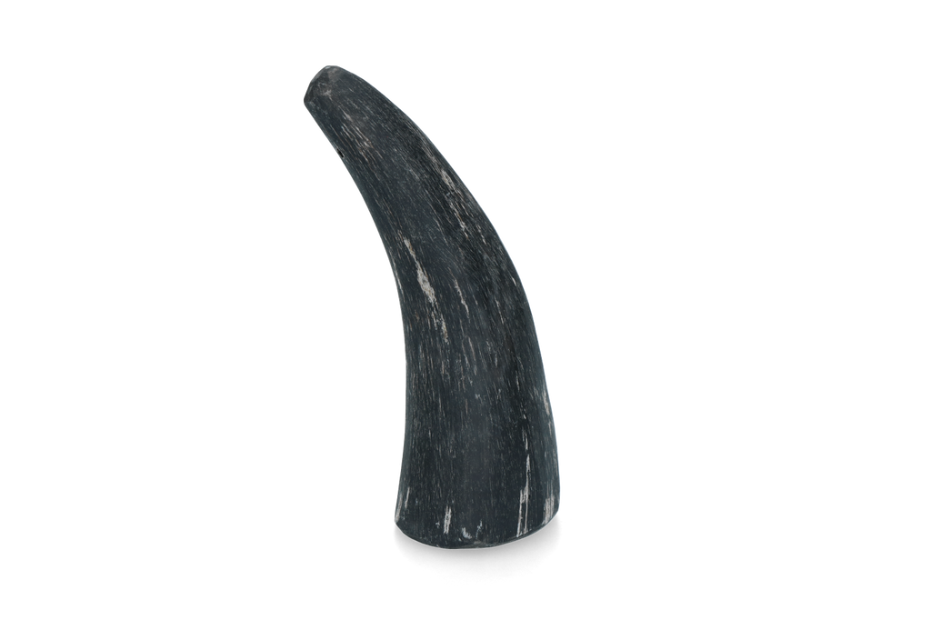 Viking Horn Whole S