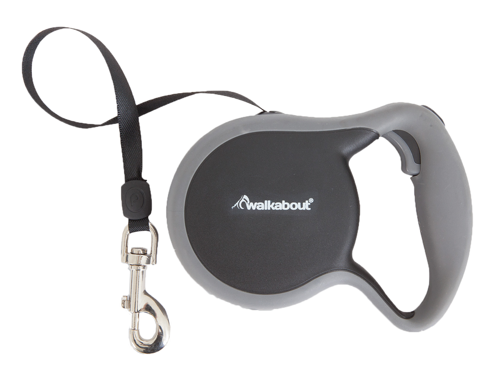 Petmate Walkabout Retractable Leash