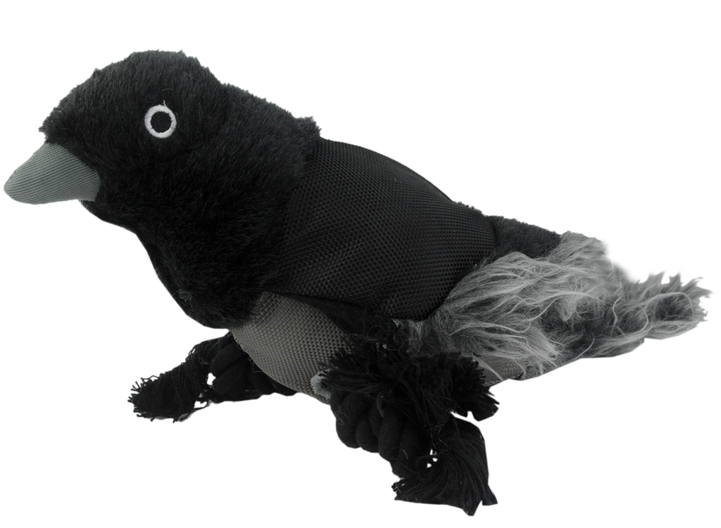 Wild Life Dog Raven