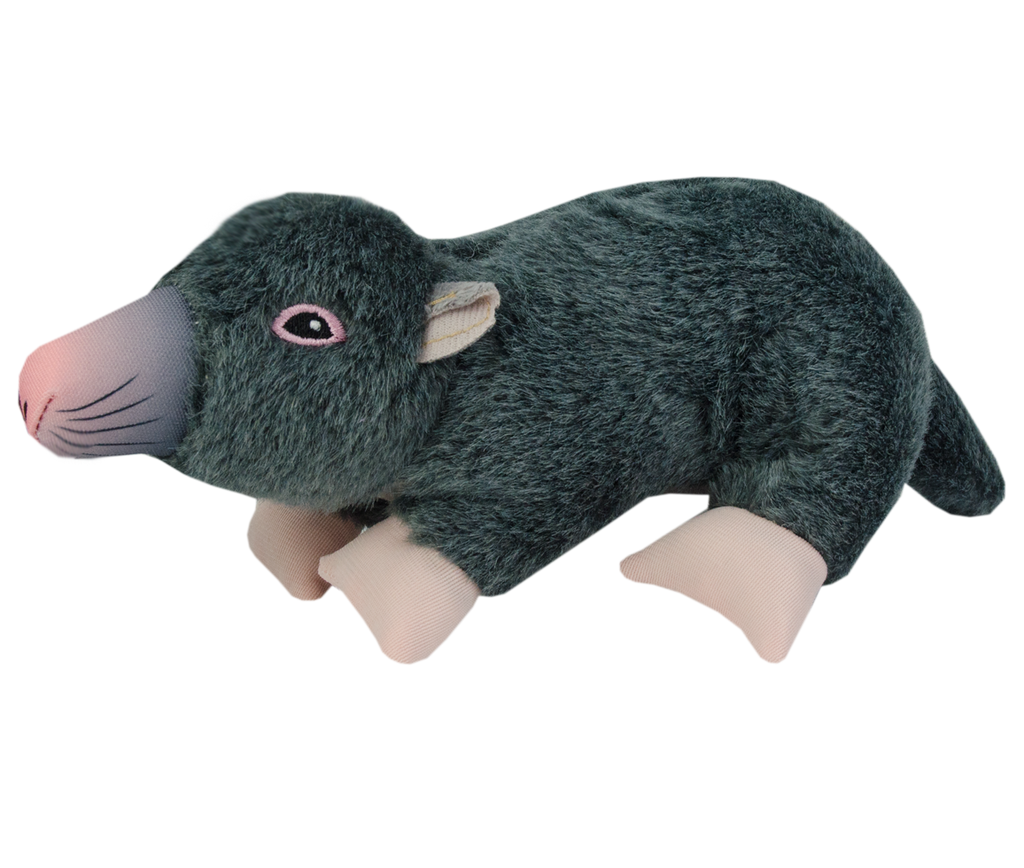 Wild Life Dog Mole