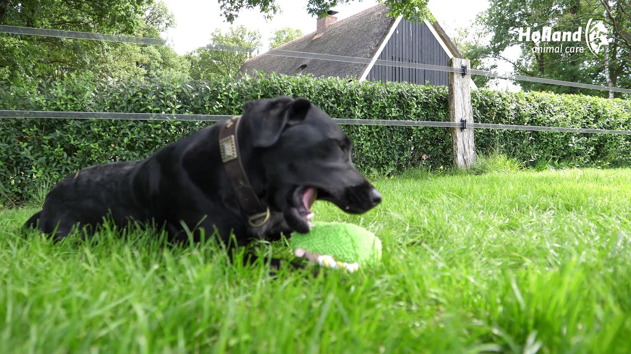 Fuzzle with 5 squeakers Hippo