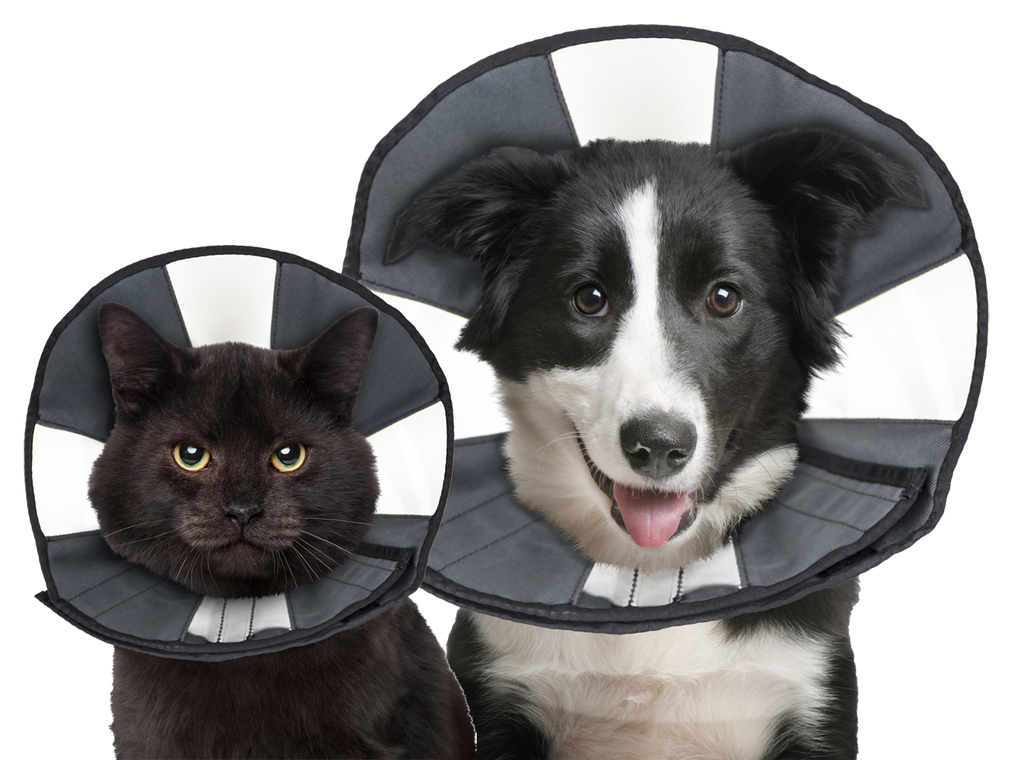 Zenpet Procone S