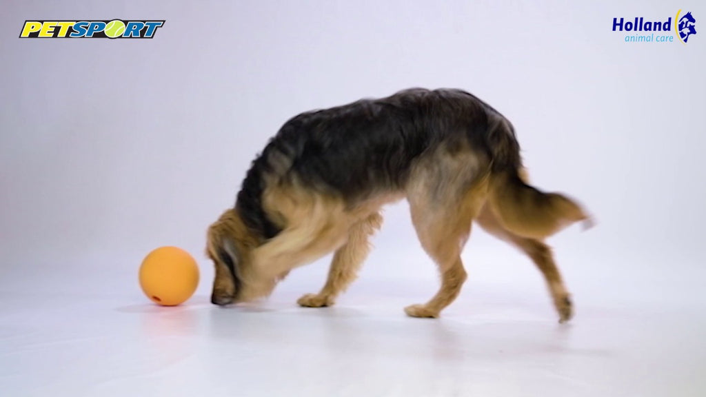 Petsport Kingpin Kibbler Black
