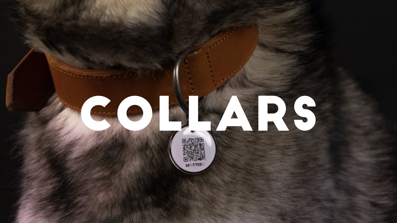 Spotted! Pro Leather Collar Cognac 3 x