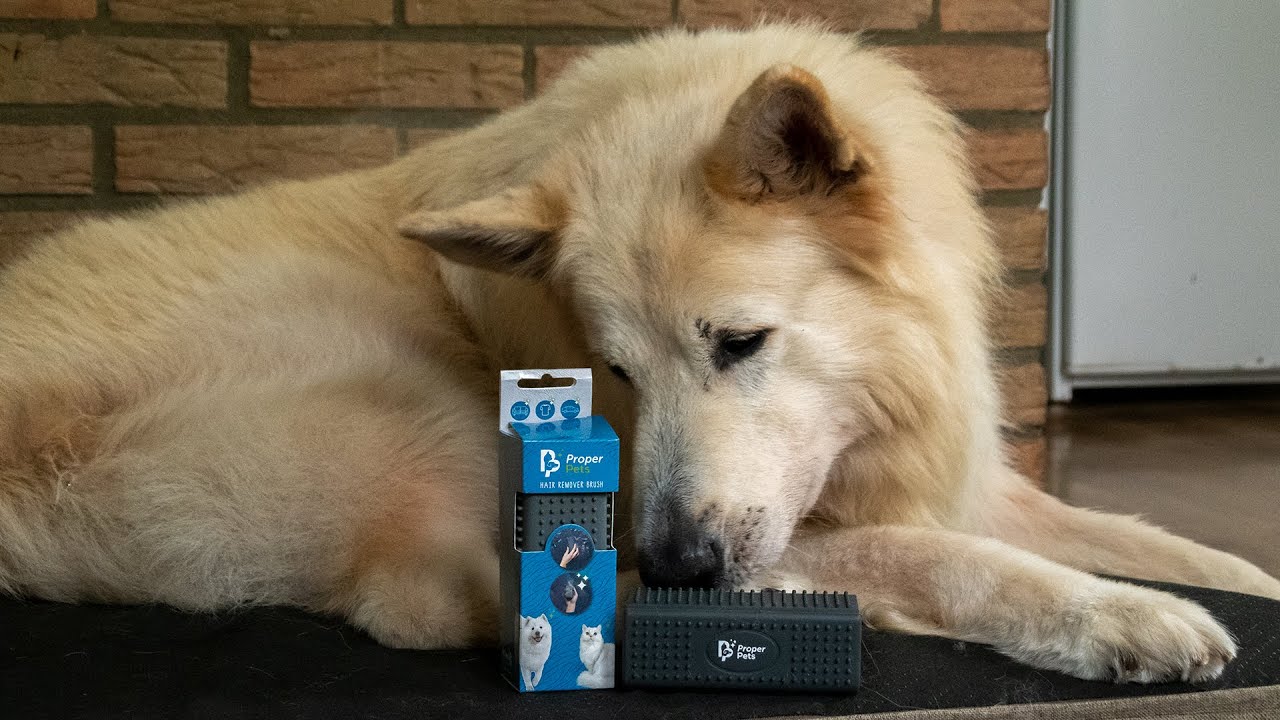 Proper Pets Hair Remover 