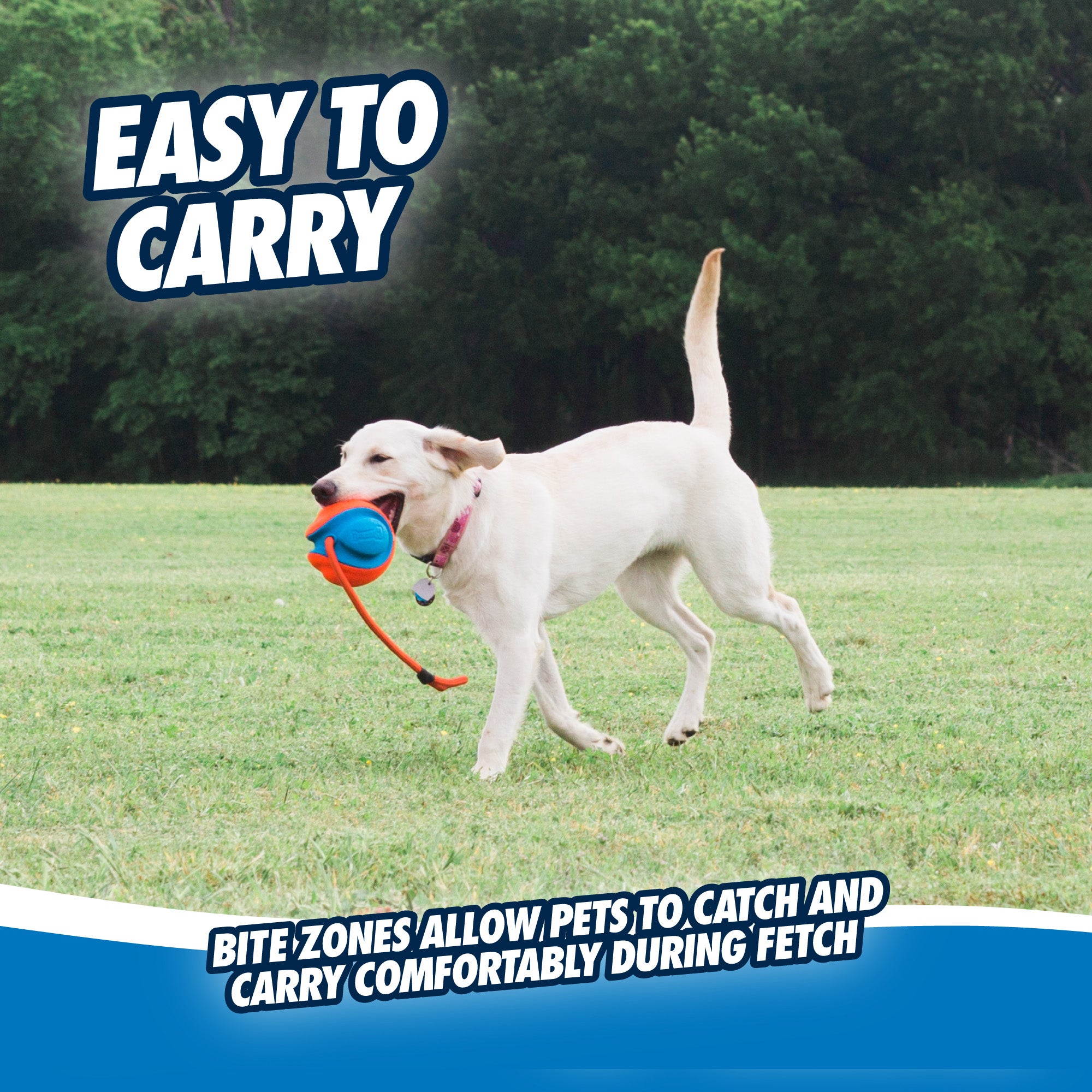 Chuckit! Rope Fetch 
