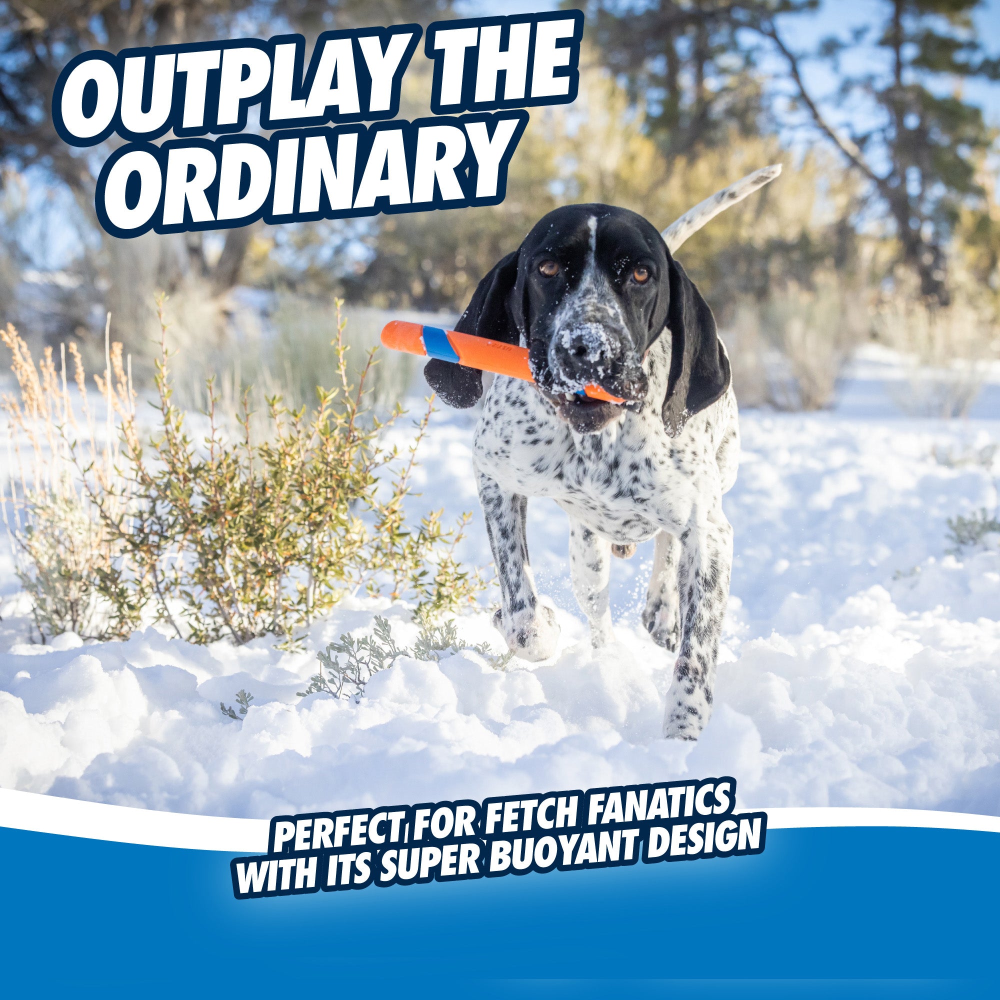 Chuckit! Ultra Fetch Stick 