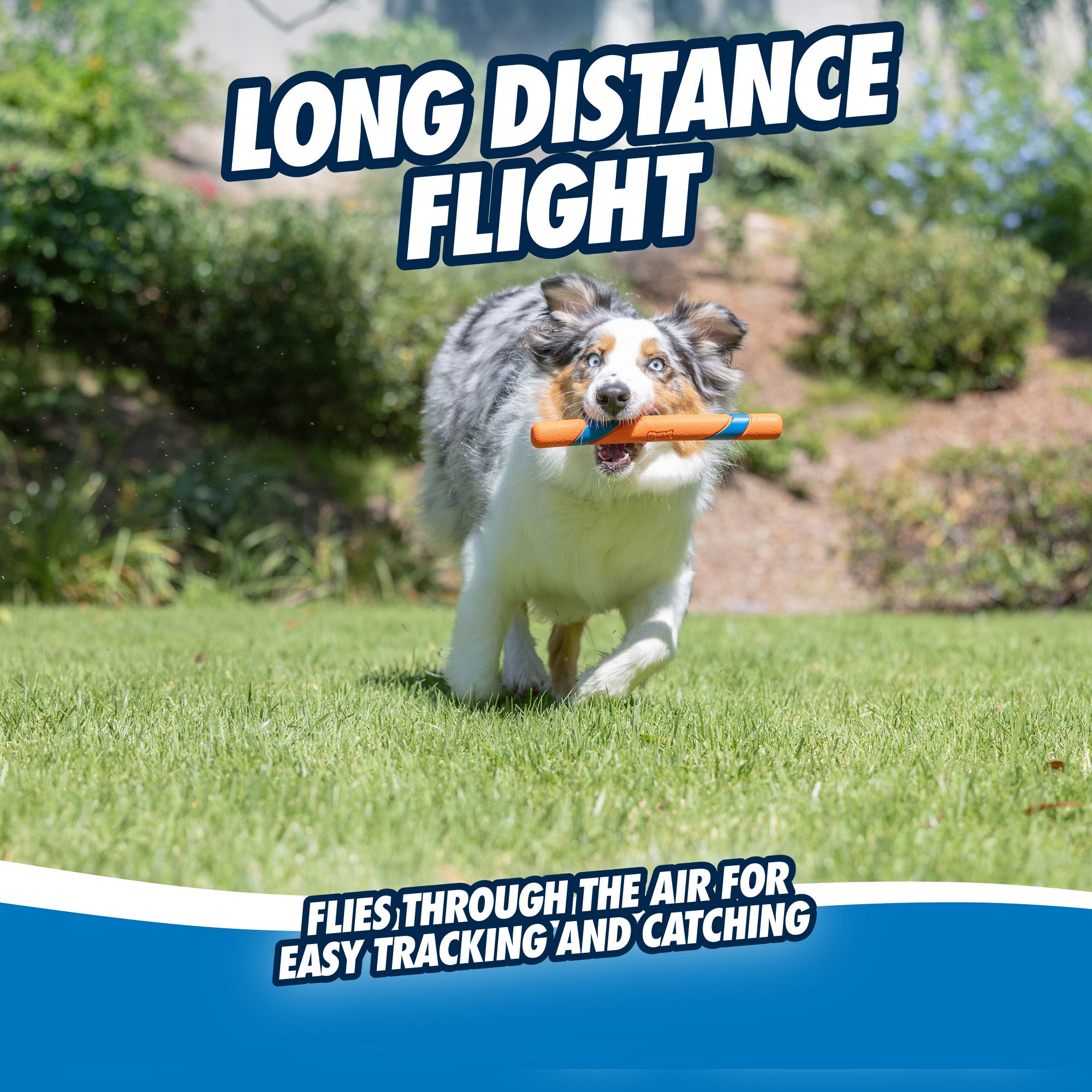 Chuckit! Ultra Fetch Stick 